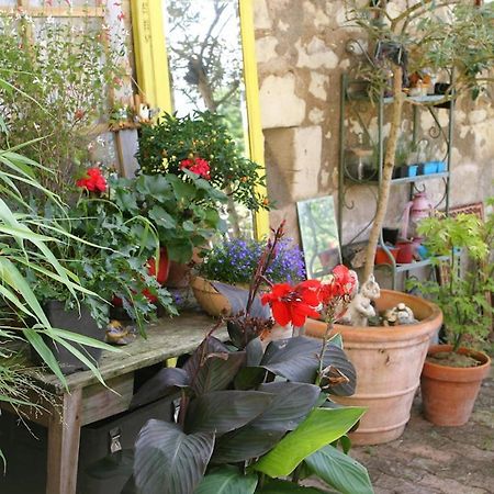 Les Petites Mirabelles Bed & Breakfast Noyers-sur-Cher Luaran gambar